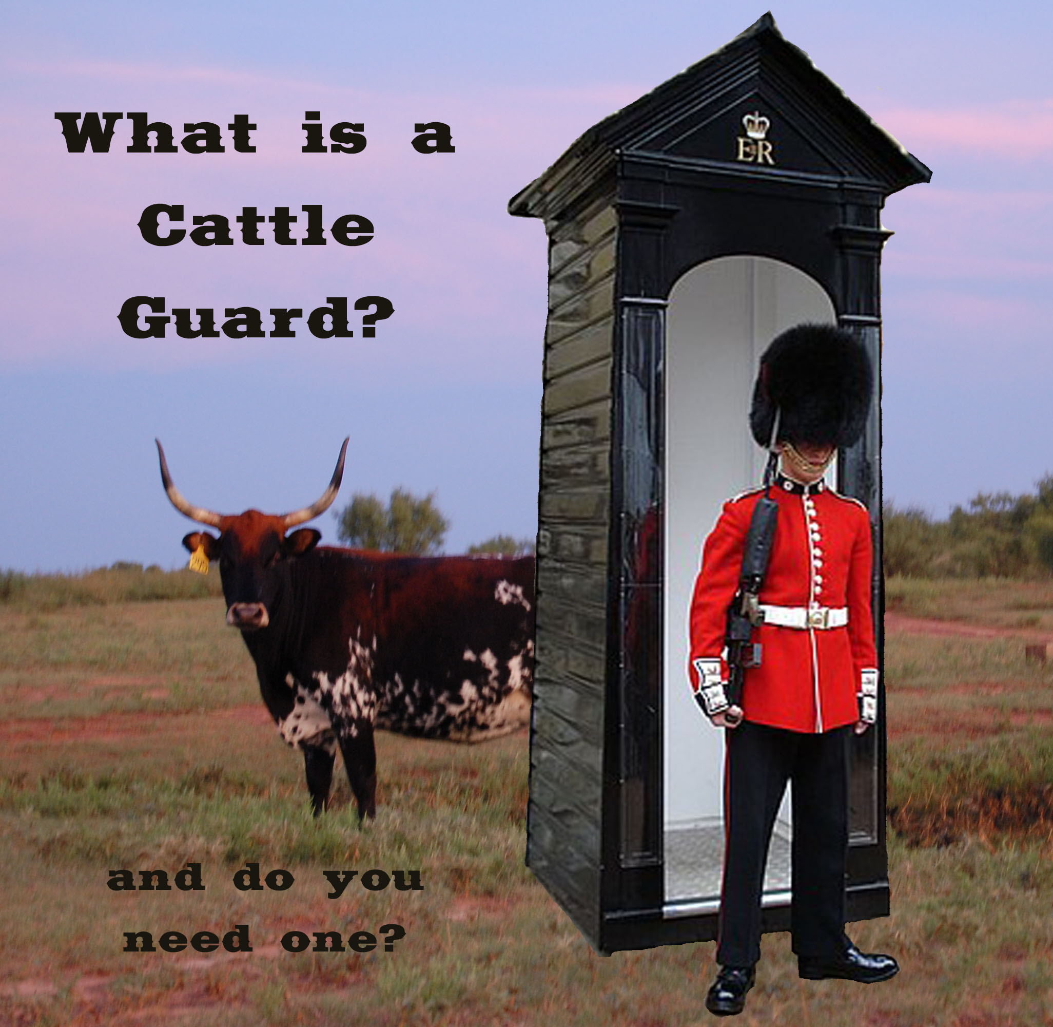 cattleguard3